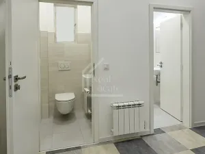 Pronájem bytu 1+kk, Praha - Holešovice, Schnirchova, 35 m2