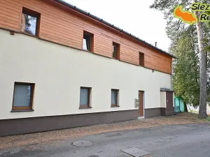 Prodej bytu 1+kk, Ostravice, 52 m2