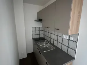 Pronájem bytu 1+kk, Liberec, Revoluční, 29 m2