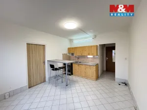 Prodej bytu 1+1, České Budějovice - České Budějovice 3, Pekárenská, 35 m2