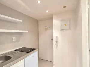 Pronájem bytu 1+kk, Praha - Podolí, Levá, 25 m2