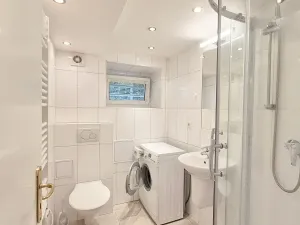 Pronájem bytu 1+kk, Praha - Podolí, Levá, 25 m2