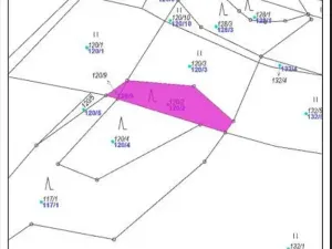 Prodej lesa, Nemile, 323 m2