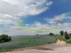 Prodej podílu pole, Doubravice nad Svitavou, 2937 m2