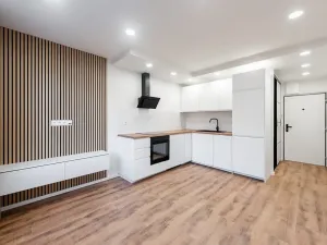 Prodej bytu 2+kk, Praha - Kamýk, Seidlova, 45 m2