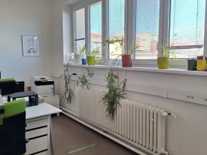 Pronájem kanceláře, Praha - Nové Město, Bolzanova, 36 m2