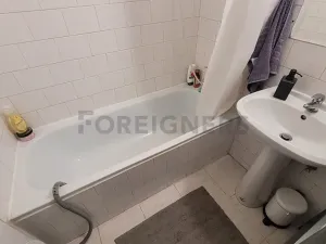 Pronájem bytu 1+1, Brno, Burešova, 59 m2