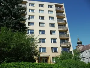 Prodej bytu 1+kk, Děčín, Pohraniční, 20 m2