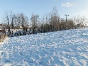 Prodej rodinného domu, Potštát, 26 m2