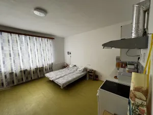 Prodej bytu 1+kk, Zruč nad Sázavou, Mládeže, 33 m2