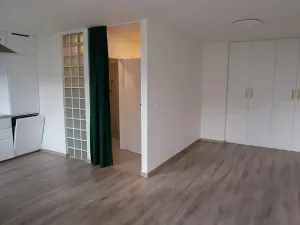 Pronájem bytu 1+kk, Praha - Krč, Murgašova, 42 m2