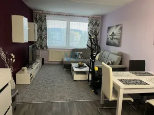 Prodej bytu 1+kk, Kaplice, 1. máje, 29 m2