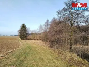 Prodej rybníku, Velká Losenice, 13639 m2