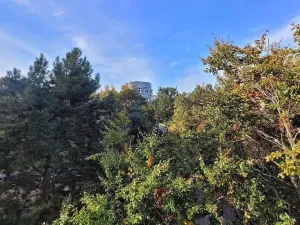 Prodej bytu 3+1, Praha - Střížkov, Šluknovská, 68 m2