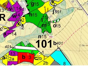 Dražba lesa, Semily, 561 m2