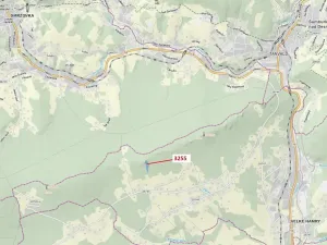 Dražba lesa, Velké Hamry, 6125 m2