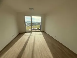 Pronájem bytu 2+kk, Plzeň, Hrachová, 43 m2
