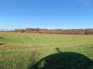 Prodej pozemku pro bydlení, Heřmanův Městec, Havlíčkova, 5663 m2