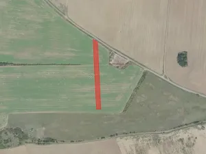 Prodej pole, Břežany II, 4000 m2