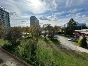 Pronájem bytu 2+kk, Brno, Křídlovická, 53 m2