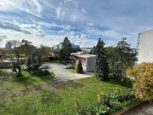 Pronájem bytu 2+kk, Brno, Křídlovická, 53 m2