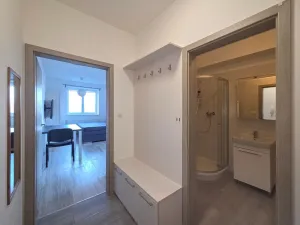 Pronájem bytu 1+kk, Brno - Žebětín, Lišejníková, 38 m2
