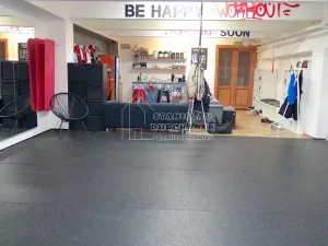 Pronájem komerční nemovitosti, Praha - Karlín, Pernerova, 358 m2