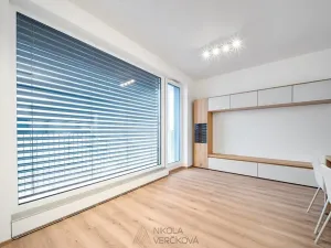 Pronájem bytu 3+kk, Brno, Rybářská, 63 m2