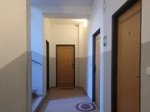 Pronájem bytu 1+1, Praha, 45 m2