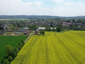 Prodej pozemku pro bydlení, Miletín, Lhotova, 16853 m2