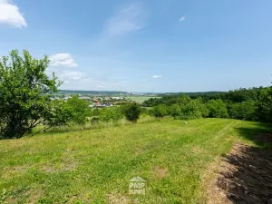 Prodej zahrady, Střelice, 931 m2