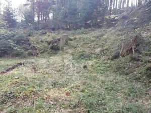Prodej lesa, Žihobce, 802 m2