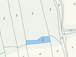 Prodej lesa, Neurazy, 727 m2