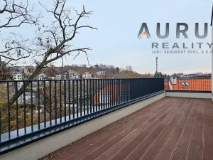 Pronájem bytu 4+kk, Praha - Nusle, Bělehradská, 116 m2