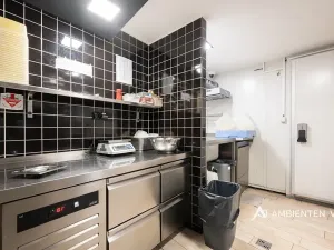 Prodej obchodního prostoru, Brno, Masarykova, 494 m2