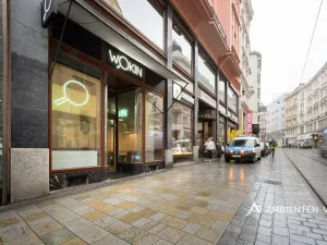 Prodej obchodního prostoru, Brno, Masarykova, 494 m2