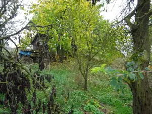 Prodej rodinného domu, Plasy, 63 m2