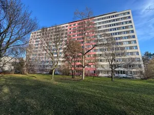 Pronájem bytu 1+1, Praha, Jílovská, 34 m2