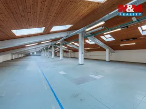 Prodej obchodního prostoru, Nejdek, Karlovarská, 5519 m2