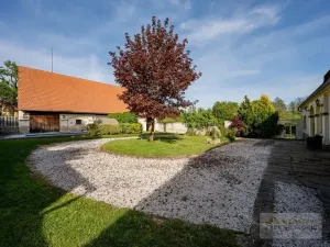 Prodej zemědělské usedlosti, Martínkovice, 700 m2