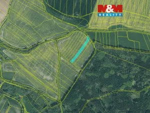 Prodej pole, Radkovice, 2942 m2