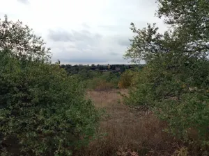 Pronájem zahrady, Dolní Kounice, 1406 m2