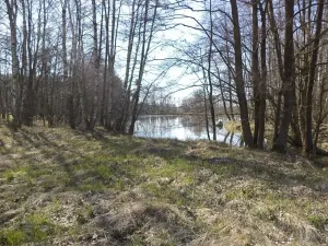 Dražba louky, Dolní Pěna, 4291 m2