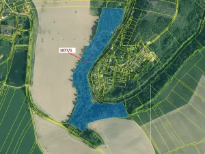 Dražba lesa, Římov, 49760 m2