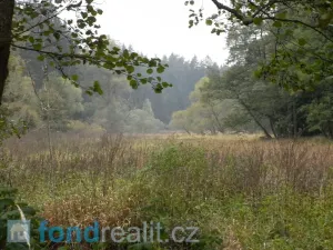 Prodej pole, Kladruby, 42411 m2