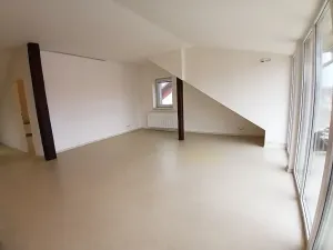 Pronájem bytu 2+kk, Ostrava, Daliborova, 75 m2