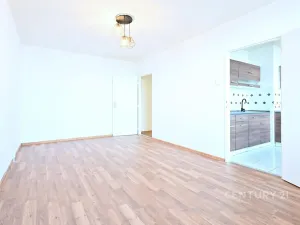 Pronájem bytu 2+1, Bílina, Bezejmenná, 49 m2