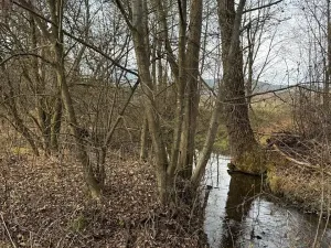 Prodej pozemku, Chvalšiny, 21761 m2