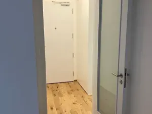 Pronájem bytu 2+kk, Praha - Nusle, Muzikova, 51 m2