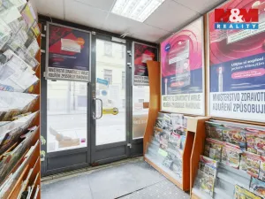 Pronájem obchodního prostoru, Plzeň - Jižní Předměstí, Goethova, 33 m2